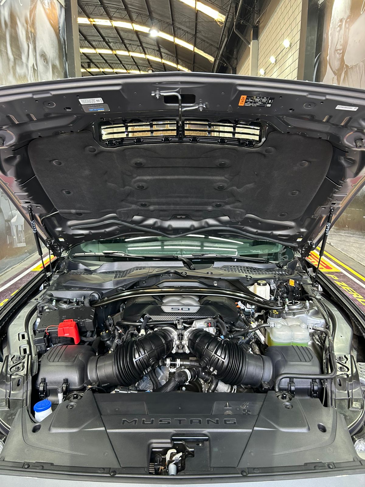 Mustang GT Performance - Imagen 9